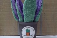 Smudge Plant Colors Purple