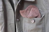 Smudge Dog peeking out of a pocket of a jean jacket.