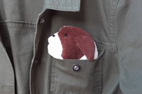 Smudge Dog peeking out of a pocket of a jean jacket.