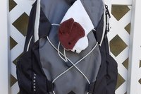 Smudge dog attached to a backpack