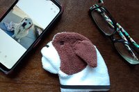 Smudge Dog with smart phone and glasses.