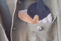 Australian Cattle dog peeking out of jean jacket pocket.