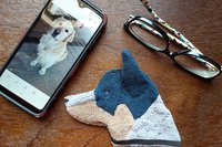 Australian Cattle dog with phone and glasses. Two of the items it can clean