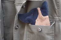 Smudge Dog peeking out of the chest pocket of a jean jacket.