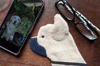 Frenchie shown with glasses and phone. Two of the items it can clean.