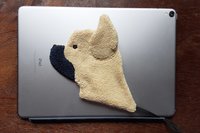 Frenchie slipped throught a magnetic cover of a popular tablet.