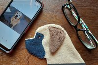 Smudge Dog shown with phone and glasses. Two of the items it can clean.