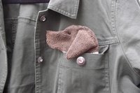 Smudge Dog peeking out of jean jacket pocket
