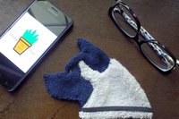 American Akita with phone and glasses. Two of the items it can clean