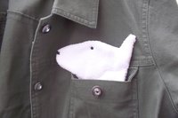 Smudge Dog peeking out of a pocket of a jean jacket.