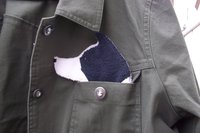 Smudge Dog Border Collie "Abbey" Microfiber Covert Cleaning Cloth