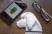 Smudge Dog with smart phone and glasses.