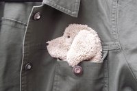 Smudge Dog peeking out of jean jacket pocket