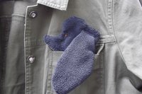 Smudge Dog peeking out of a pocket of a jean jacket.