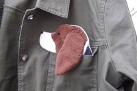 Smudge Dog shown peeking out of a jean jacket.