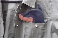 Smudge Dog peeking out of jean jacket pocket
