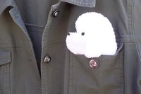 Smudge Dog shown peeking out of a jean jacket.