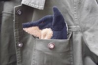 Smudge Dog peeking out of jean jacket pocket