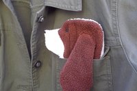 Dog shaped cloth peeking out of a jean jacket pocket.