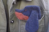 Smudge Dog peeking out of jean jacket pocket