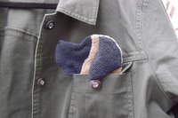 Smudge Dog peeking out of jean jacket pocket