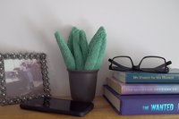 Smudge Plant Scene