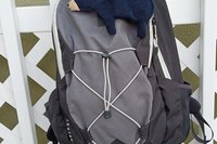 Smudge Bear attached to a backpack.