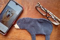 Smudge Bear with phone and glasses. Two of the items it can clean