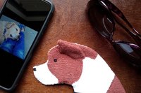 Smudge Dog with smart phone and glasses.