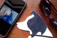 Smudge Dog with smart phone and glasses.