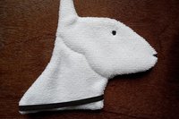 Back side of the Bull Terrier.
