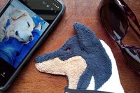 Smudge Dog with smart phone and glasses.