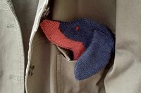 Smudge dog peeking out of a pocket of a jean jacket