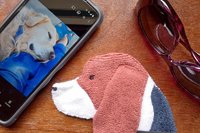Smudge Dog with smart phone and glasses.
