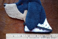 Bluetick Coonhound shown with a ruler to demonstrate size.