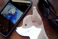 Smudge Dog with cell phone and glasses, two of the many items it can clean