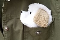 Smudge Dog peeking out of jean jacket pocket
