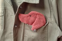 Smudge Dog peeking out of jean jacket pocket