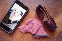 Smudge Dog with smart phone and glasses.