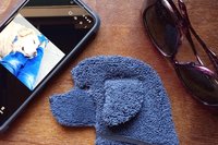 Smudge Dog with cell phone and glasses, two of the many items it can clean