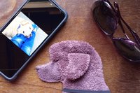Smudge Dog with smart phone and glasses.