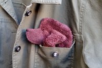 Smudge Dog peeking out of jean jacket pocket
