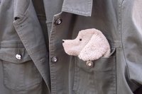 Smudge Dog peeking out of the pocket of a jean jacket.
