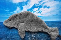 Smudge Fish: Manatee Microfiber Covert Cleaning Cloth