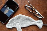Smudge Fish: Manatee Microfiber Covert Cleaning Cloth