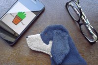 Smudge Dog with phone and glasses. Two of the items it can clean