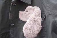 Smudge Dog peeking out of jean jacket pocket