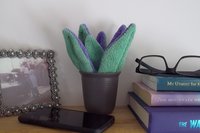 Smudge Plant Colors