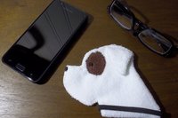 Smudge Dog with smart phone and glasses.