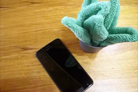Smudge Plant in use